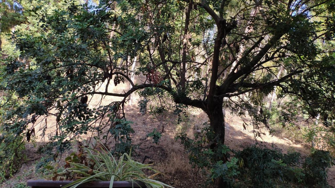 Apartament Fabulosa Casa Del Arbol Màlaga